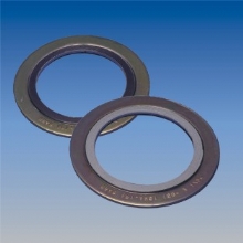 Spriral Wound Gasket With Outer Ring(Style WR)